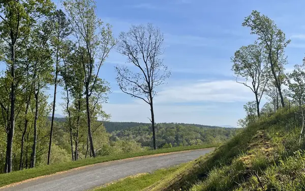 LT118 S Jakes Landing Way, Ellijay, GA 30540