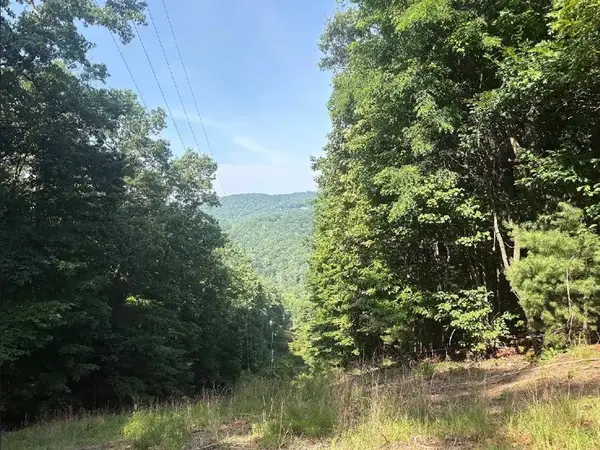 00 Burnt Mountain, Jasper, GA 30143
