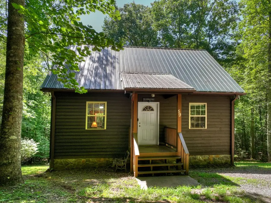 59 Oak Lane, Blue Ridge, GA 30513 - #3