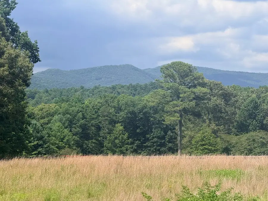 LT 6 Spring Camp Road, Ellijay, GA 30536 - #2