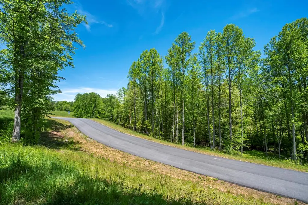 Lot 5-5A Waterstone Way, Mineral Bluff, GA 30559 - #1