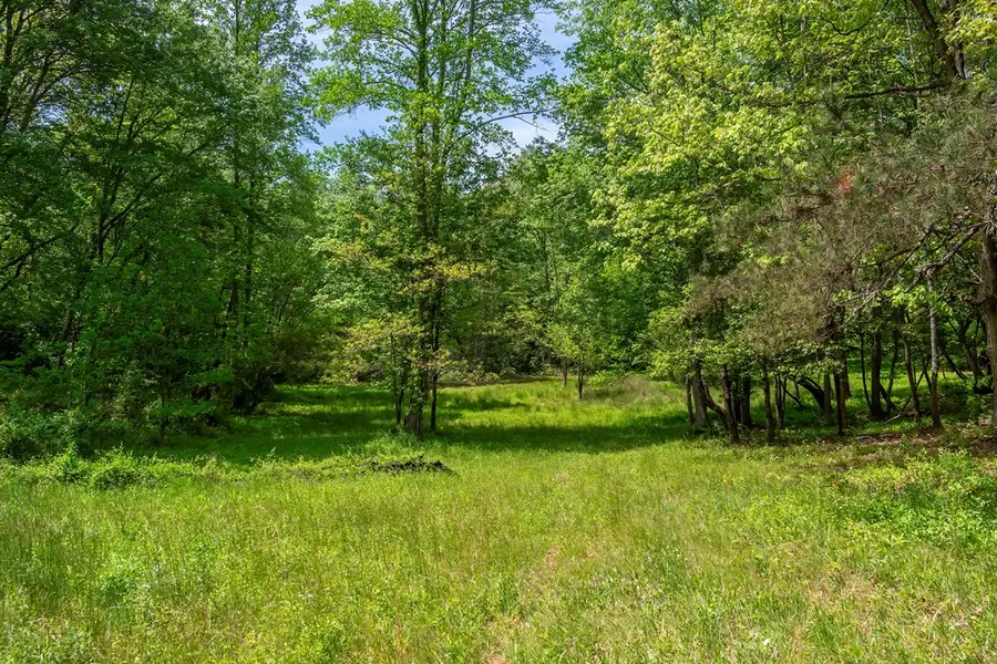 Lot 5-5A Waterstone Way, Mineral Bluff, GA 30559 - #3