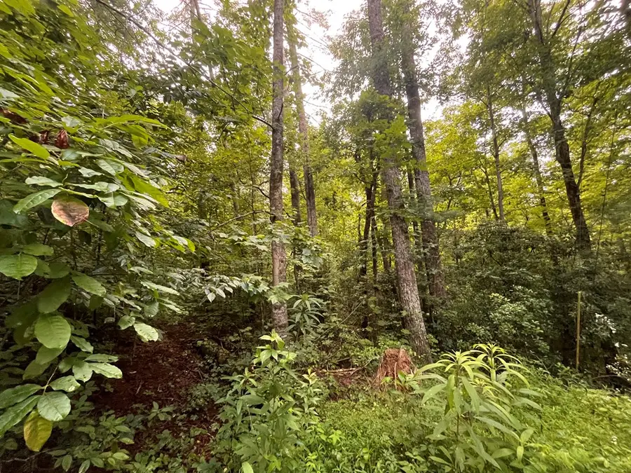 Lt 33 Brook Court, Ellijay, GA 30540 - #2