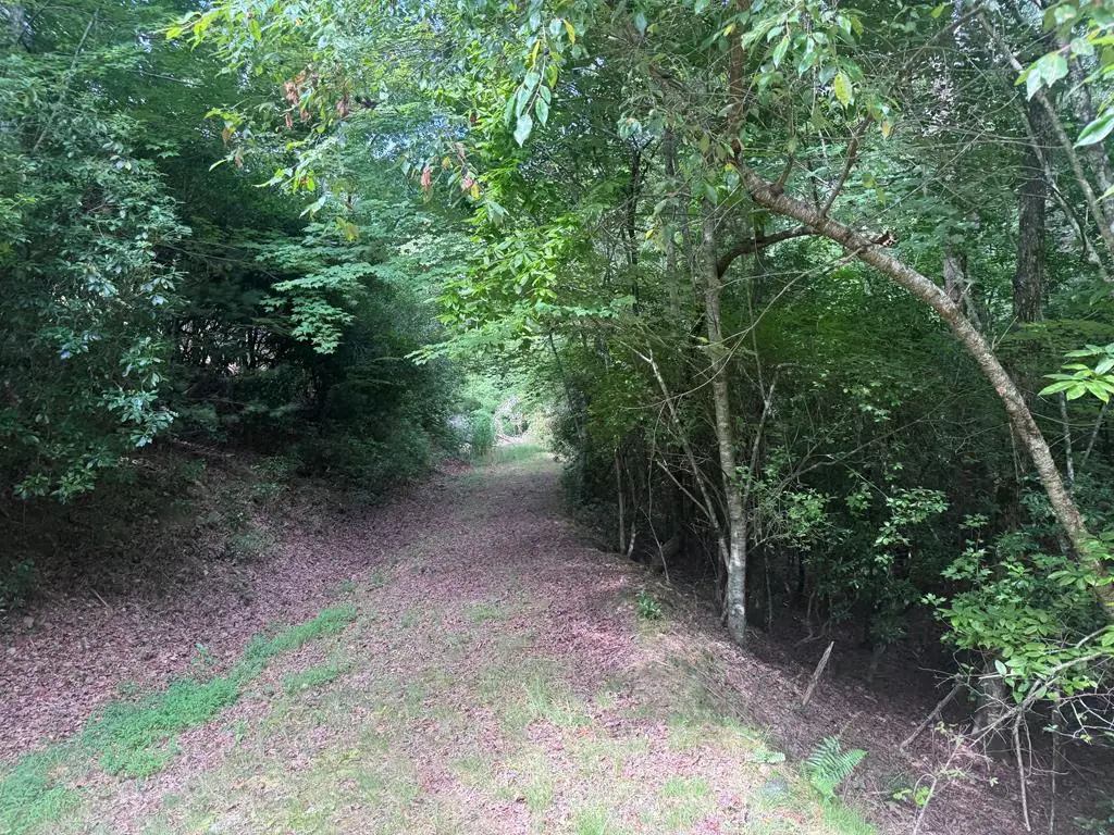 39 Fiddlers Way, Brasstown, NC 28904 - #1