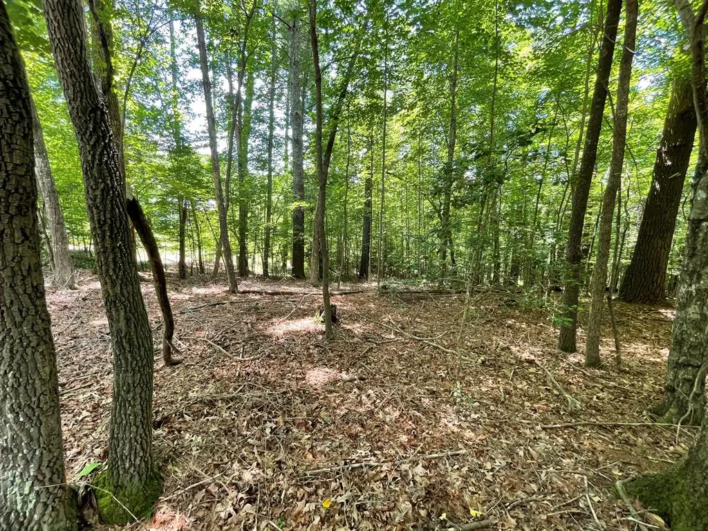 Lot 15 Summit Way, Blairsville, GA 30512 - #1