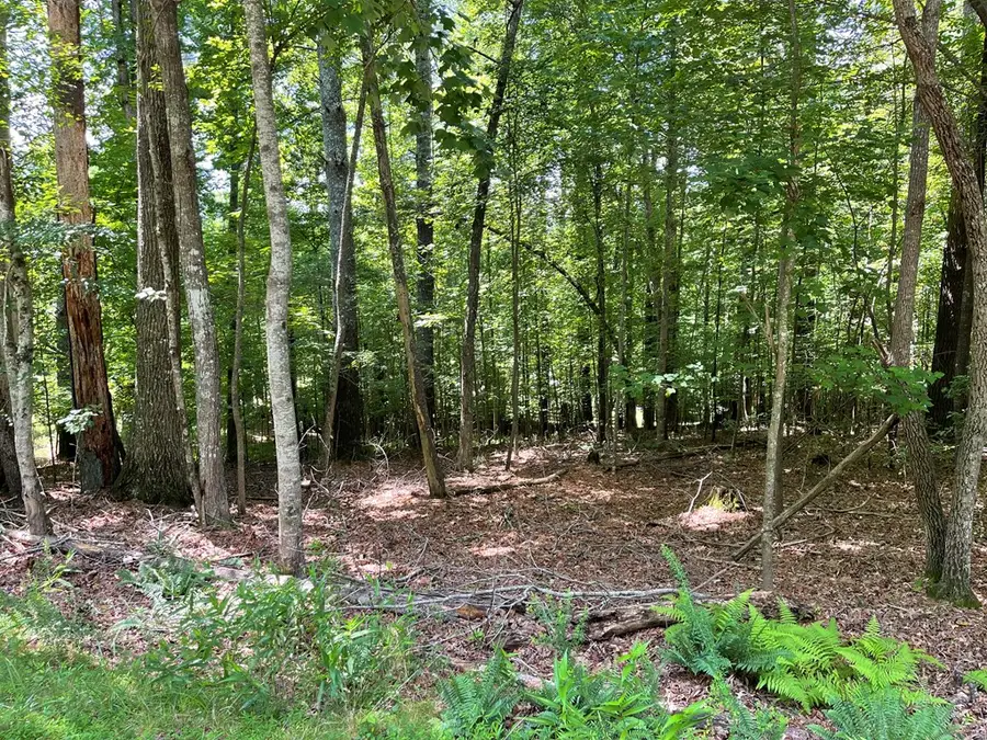 Lot 15 Summit Way, Blairsville, GA 30512 - #2