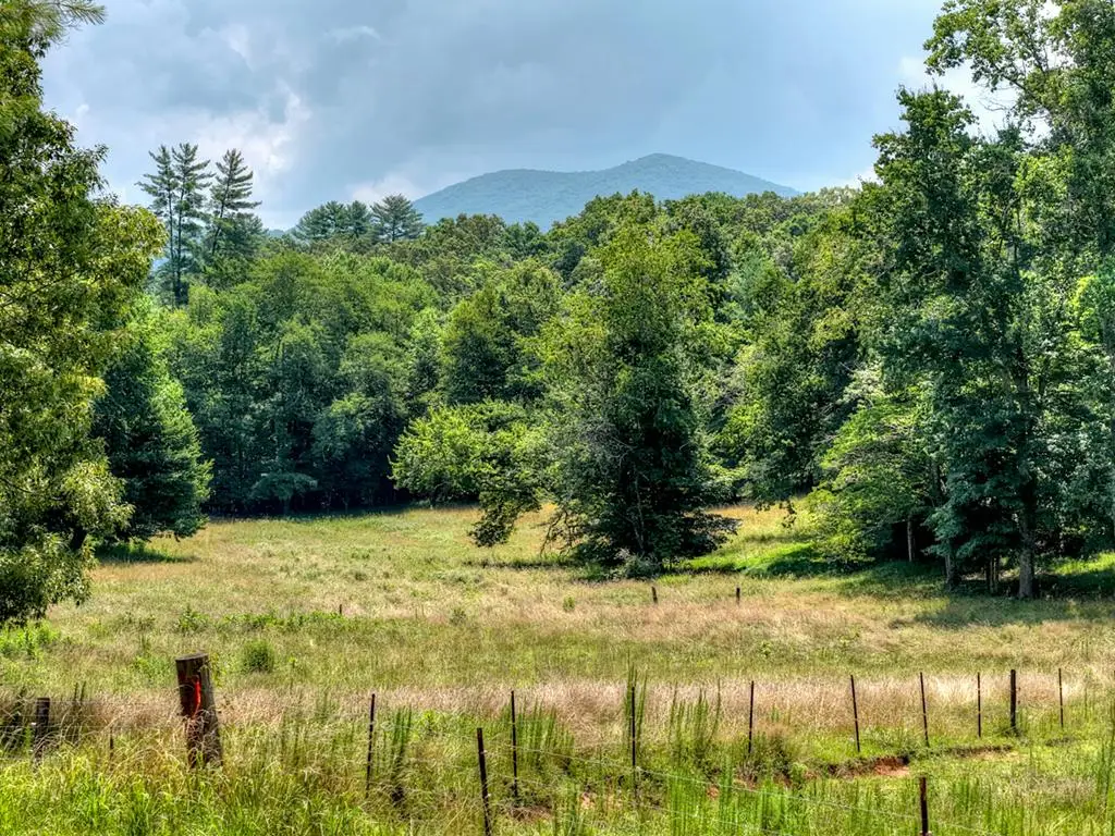 963 Black Ankle Lane, Blue Ridge, GA 30513 - #1