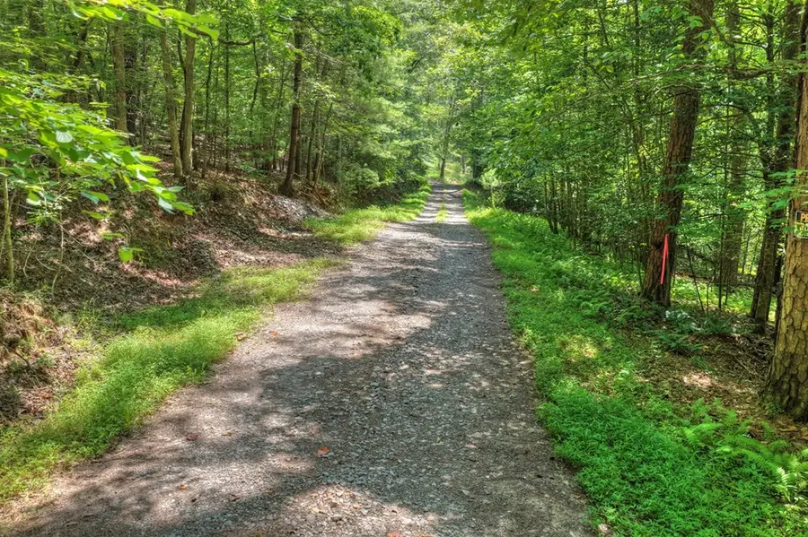 963 Black Ankle Lane, Blue Ridge, GA 30513 - #2