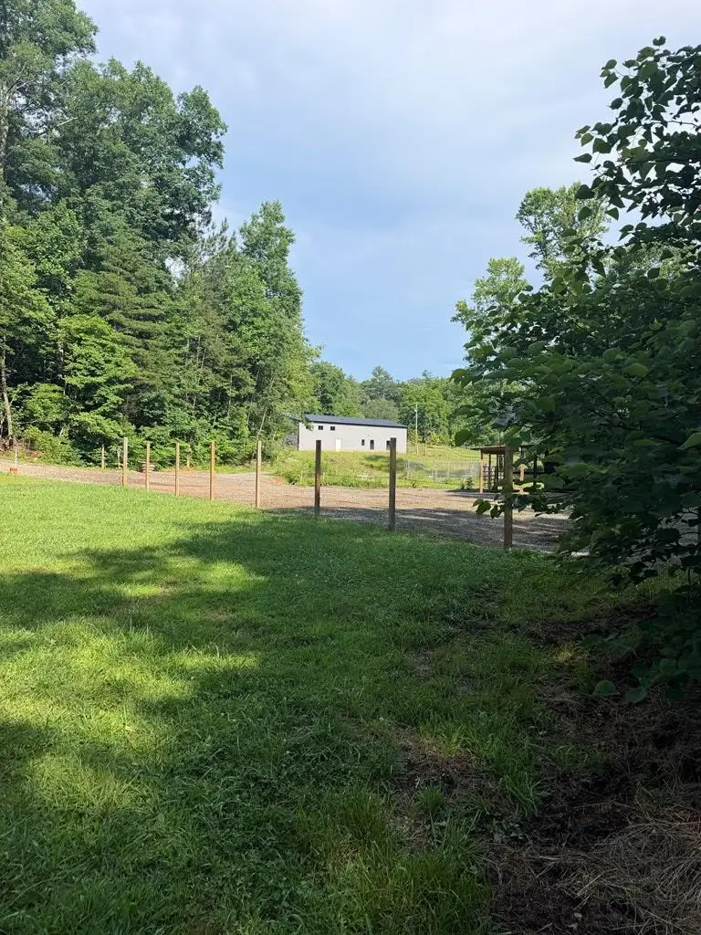 215 Dunn Mill Creek Road, Blue Ridge, GA 30513 - #3