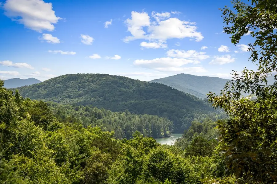 93 Misty Mountain Trail, Morganton, GA 30560 - #3
