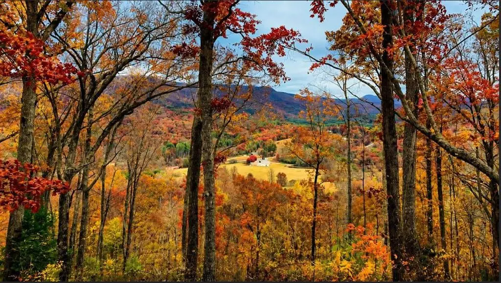 20 Fly Cast Overlook, Hayesville, NC 28904 - #1