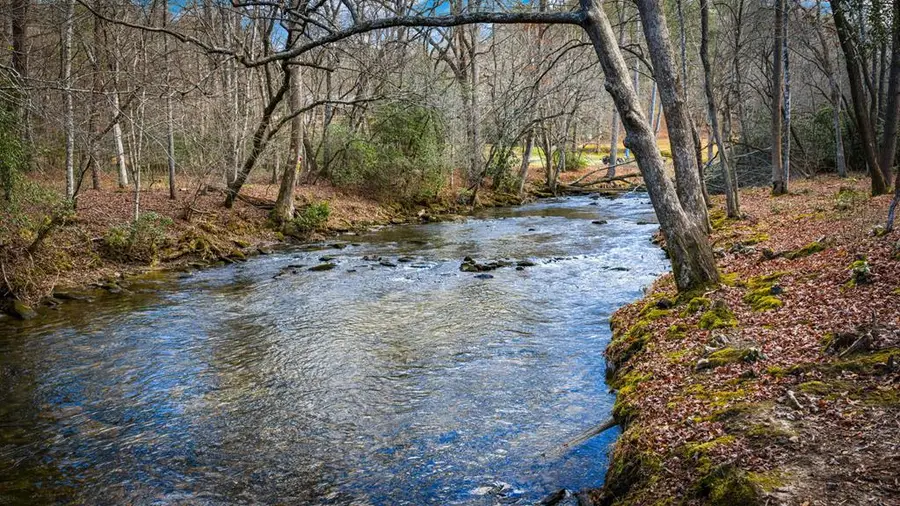 5.15 AC Spence Road, Blue Ridge, GA 30513 - #2