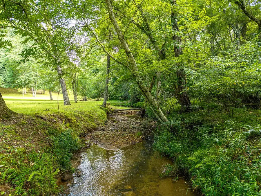 1347 Ivy Log Drive, Blairsville, GA 30512 - #3