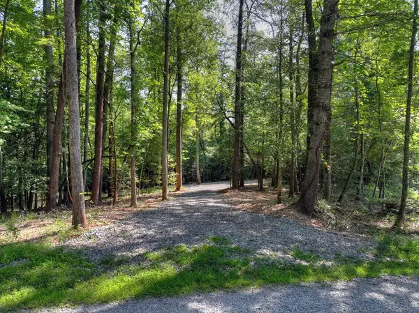 2.64 acr Grace Drive, Blue Ridge, GA 30513