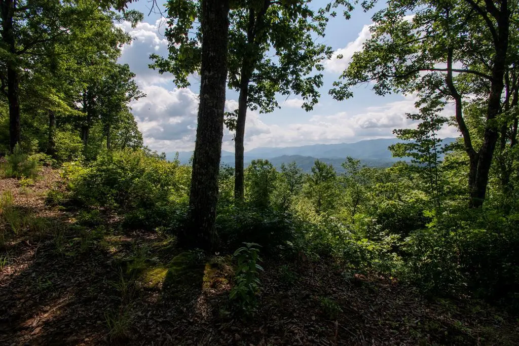0 Bluff Road, Marble, NC 28905 - #1