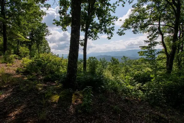 0 Bluff Road, Marble, NC 28905