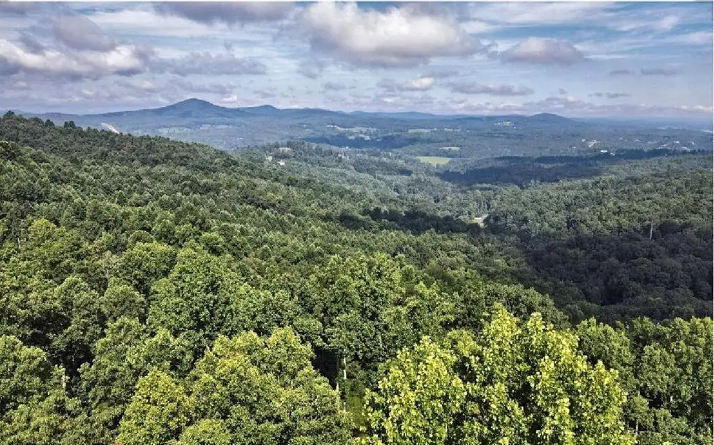 Lt 95 Thirteen Hundred, Blairsville, GA 30512 - #1