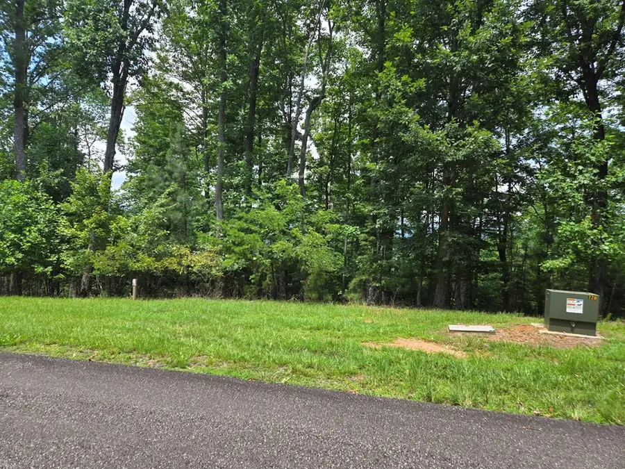 Lt 95 Thirteen Hundred, Blairsville, GA 30512 - #3