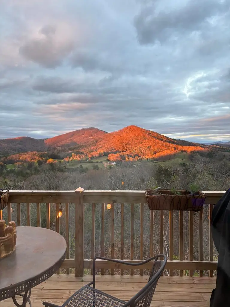 890 Hickory Drive, Mineral Bluff, GA 30559 - #2