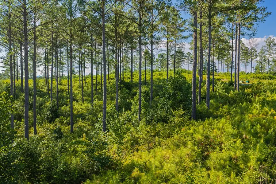 Lot 68 High River Road, Ellijay, GA 30540 - #2