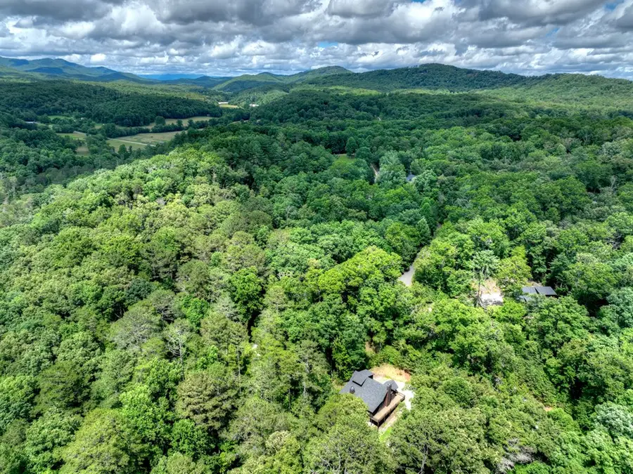 200 Forest View Lane, Mineral Bluff, GA 30559 - #2