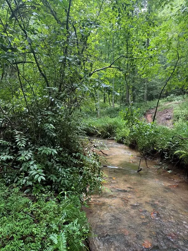 TBD Pinelog Church Road, Brasstown, NC 28902