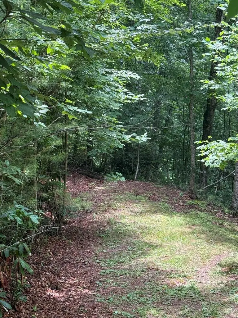 TBD Pinelog Church Road, Brasstown, NC 28902 - #2