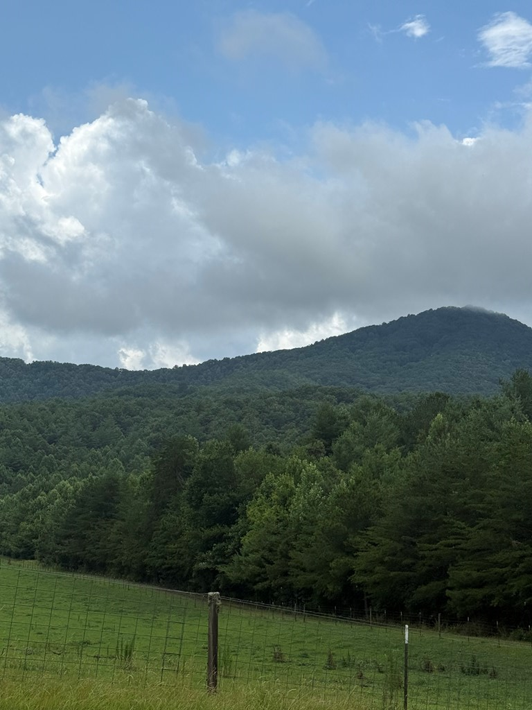 TBD Pinelog Church Road, Brasstown, NC 28902 - #3
