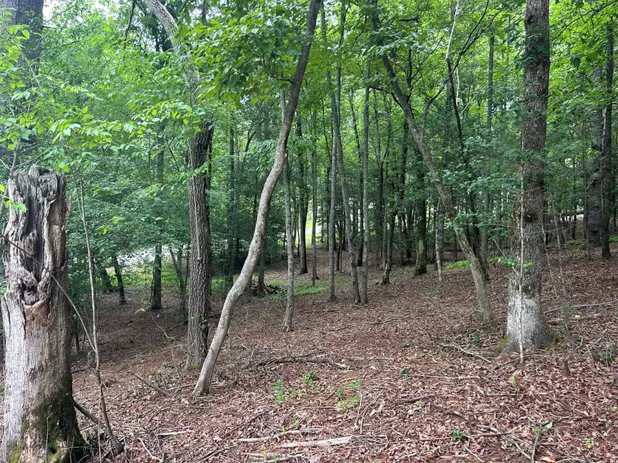 Lt 14 Fiddlers Cove, Blairsville, GA 30512 - #2