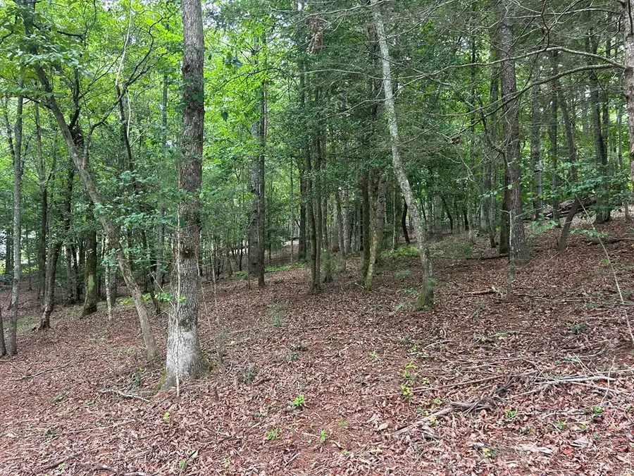 Lt 14 Fiddlers Cove, Blairsville, GA 30512 - #3