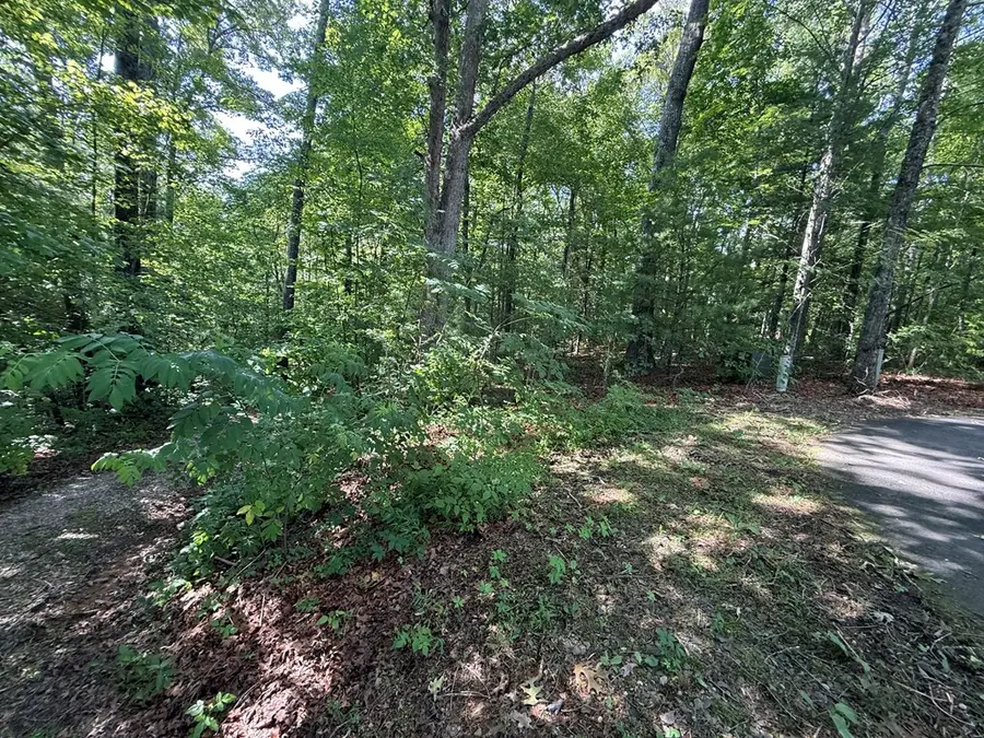 135 Oakview Road, Farner, TN 37333 - #2