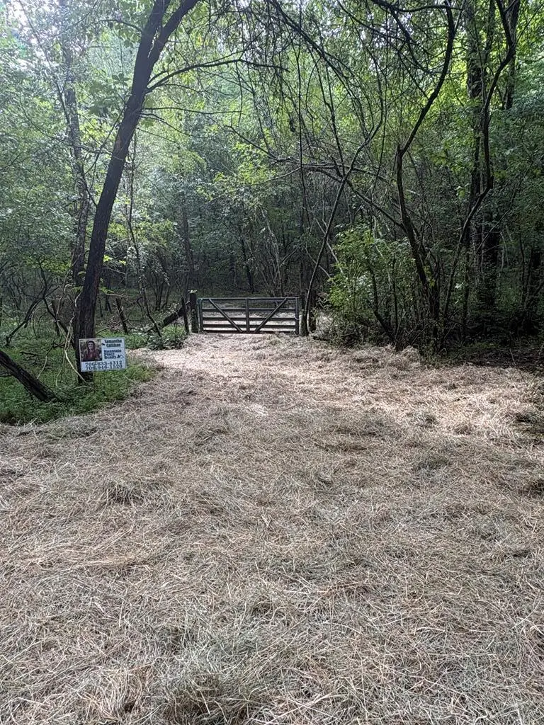 00 Scots Glen Road, Mineral Bluff, GA 30559 - #1