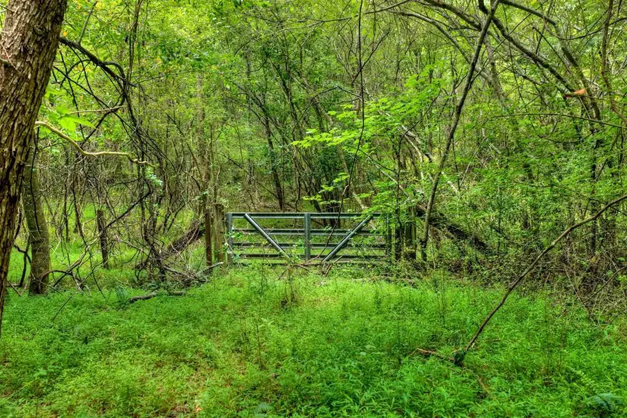 00 Scots Glen Road, Mineral Bluff, GA 30559 - #2