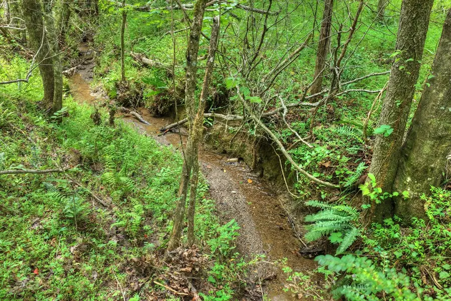 00 Scots Glen Road, Mineral Bluff, GA 30559 - #3