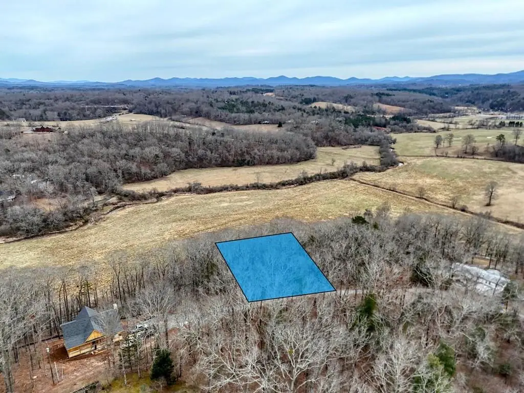 0.65 AC Barnes Chapel Road, Blue Ridge, GA 30513 - #1