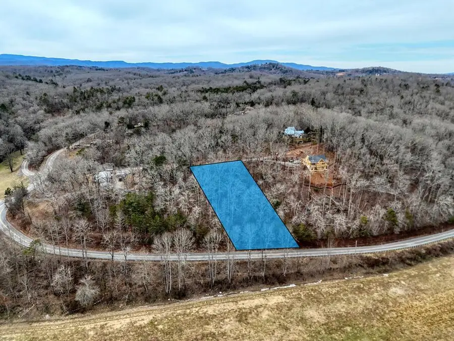 0.65 AC Barnes Chapel Road, Blue Ridge, GA 30513 - #2