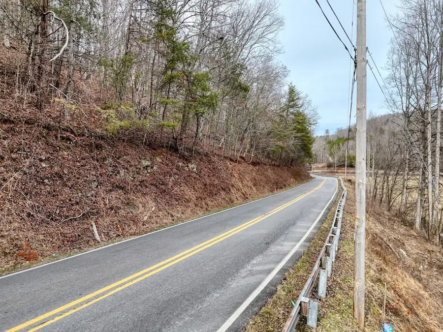 0.65 AC Barnes Chapel Road, Blue Ridge, GA 30513 - #3