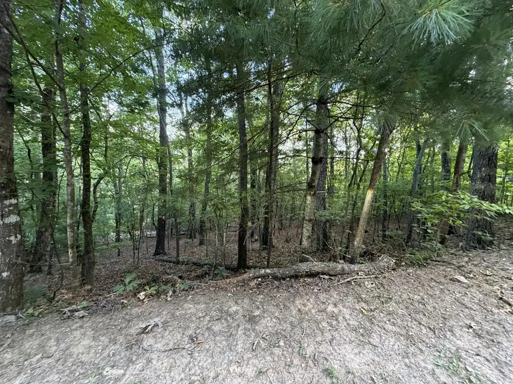 Lot 46 Fox Run Drive, Blue Ridge, GA 30513 - #1