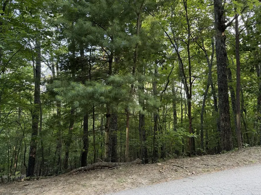 Lot 46 Fox Run Drive, Blue Ridge, GA 30513 - #2