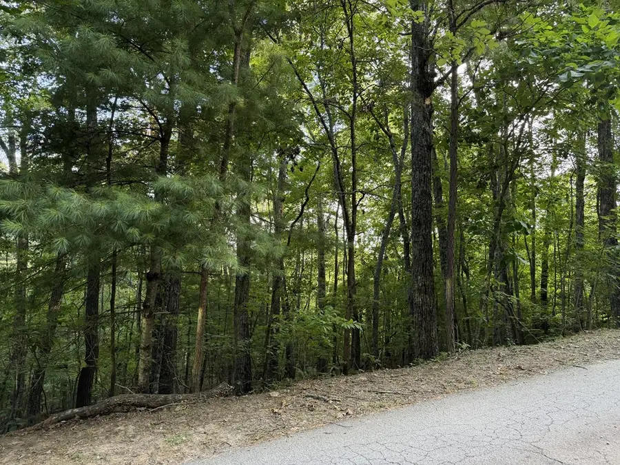 Lot 46 Fox Run Drive, Blue Ridge, GA 30513 - #3