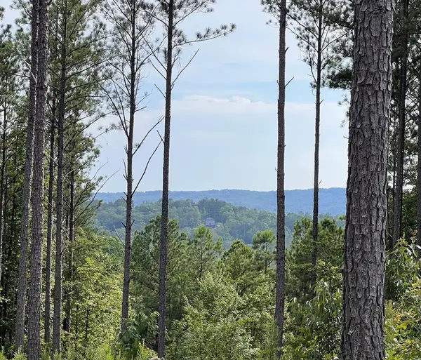 Lot 103 Blalock Mountain Road, Ellijay, GA 30540