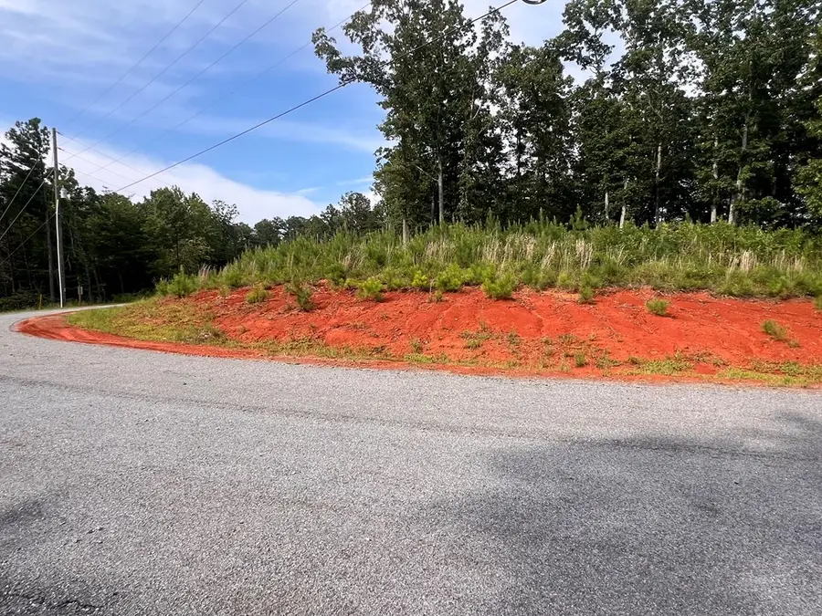 Lot 103 Blalock Mountain Road, Ellijay, GA 30540 - #3