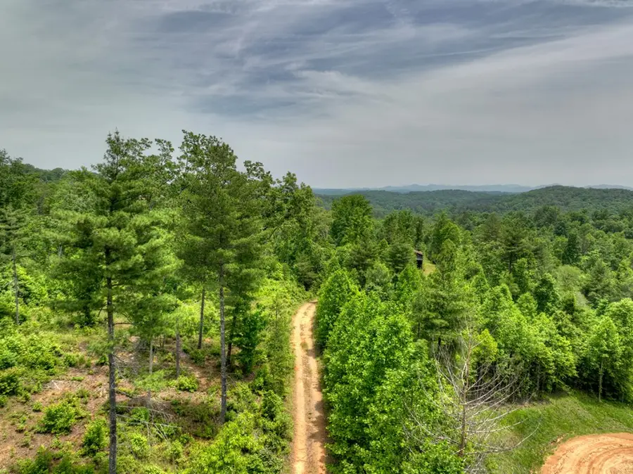 7.5 ac Hidden Acres, Blue Ridge, GA 30513 - #2