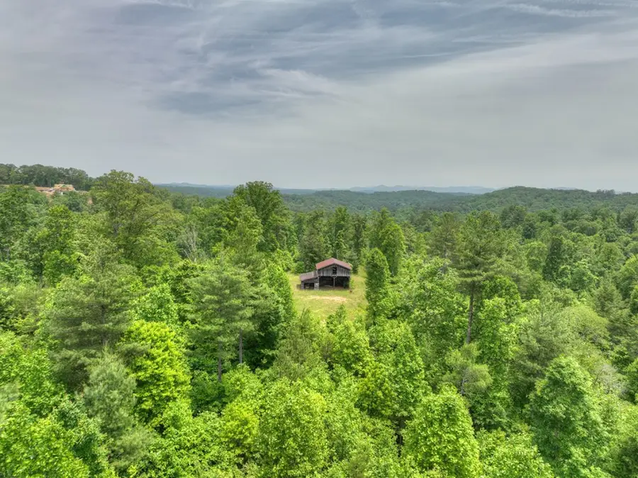 7.5 ac Hidden Acres, Blue Ridge, GA 30513 - #3