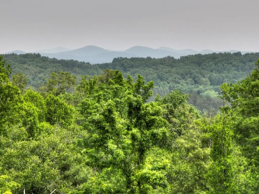 3.20 ac Hidden Acres, Blue Ridge, GA 30513 - #1