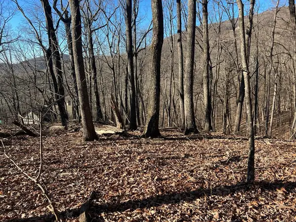 0 Sassafras Mountain Trail, Jasper, GA 30143