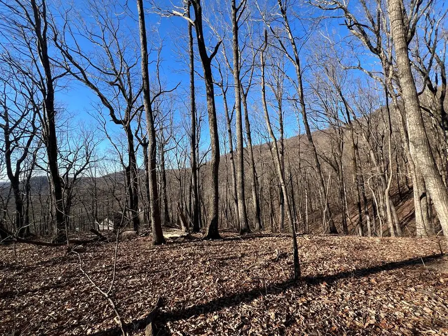 0 Sassafras Mountain Trail, Jasper, GA 30143 - #3