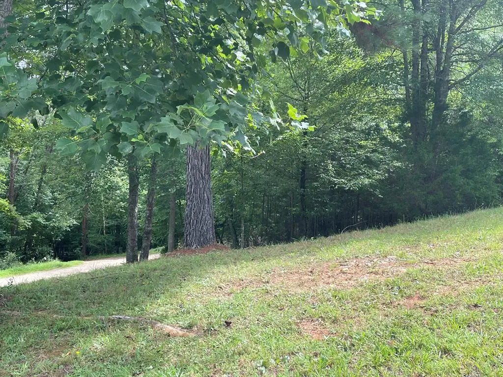 Lot 1 Pinehurst, Blairsville, GA 30512 - #1