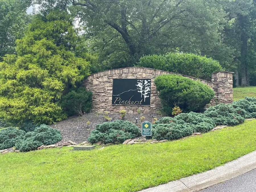 Lot 1 Pinehurst, Blairsville, GA 30512 - #2