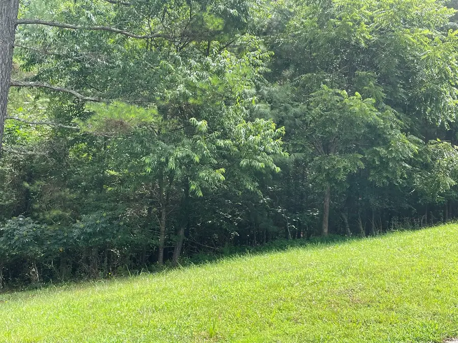 Lot 1 Pinehurst, Blairsville, GA 30512 - #3